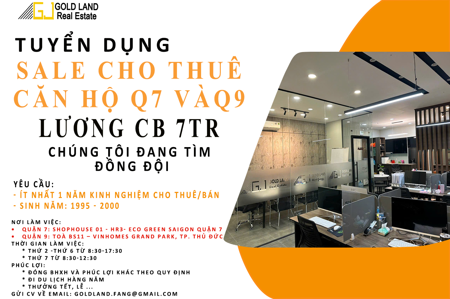 lĩnh vực hoạt động